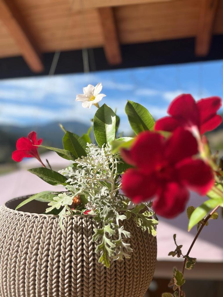 Crucea Pensiunea Mireasma Bucovinei المظهر الخارجي الصورة